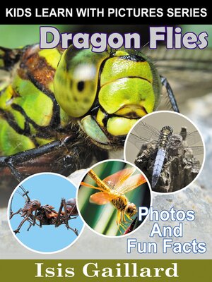 cover image of Dragon Flies